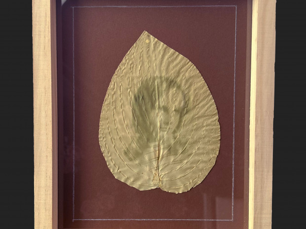 macafoto_Chlorophyll print_alic_01